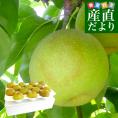 九州から産地直送 熊本県 こだわり農家の秋麗梨 (しゅうれいなし)  約5キロ (14玉から16玉) 送料無料 ナシ なし