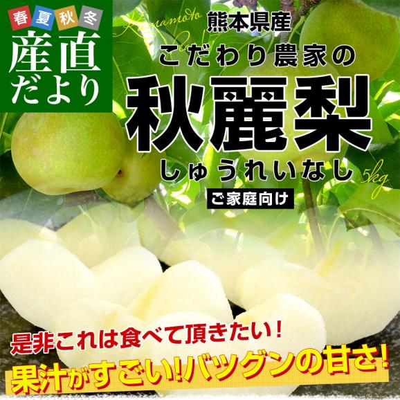 九州から産地直送 熊本県 こだわり農家の秋麗梨 (しゅうれいなし)  約5キロ (14玉から16玉) 送料無料 ナシ なし02