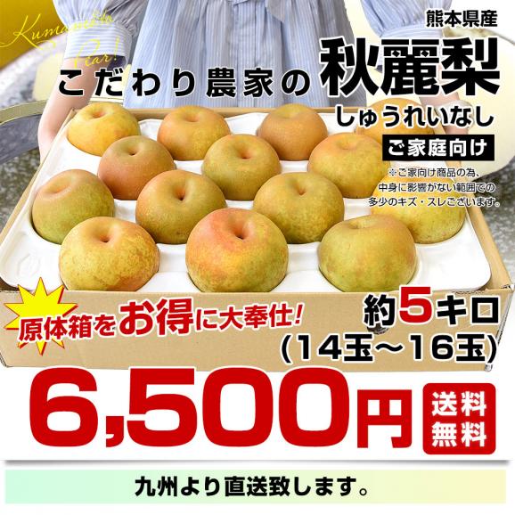 九州から産地直送 熊本県 こだわり農家の秋麗梨 (しゅうれいなし)  約5キロ (14玉から16玉) 送料無料 ナシ なし03