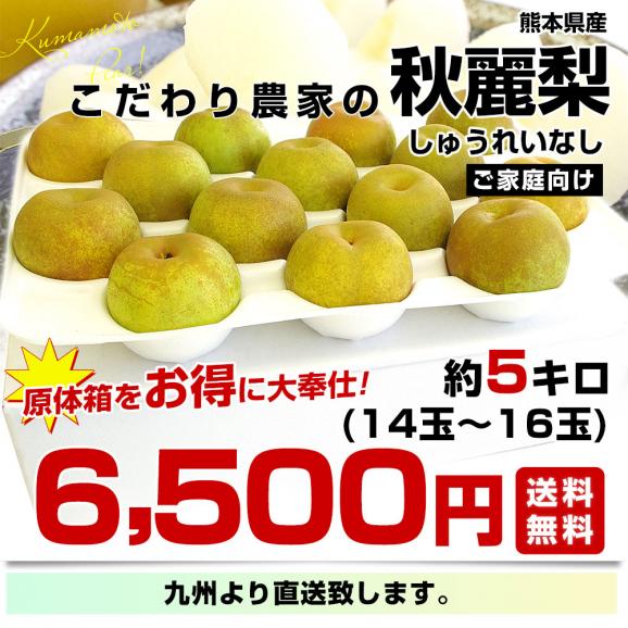 九州から産地直送 熊本県 こだわり農家の秋麗梨 (しゅうれいなし)  約5キロ (14玉から16玉) 送料無料 ナシ なし03