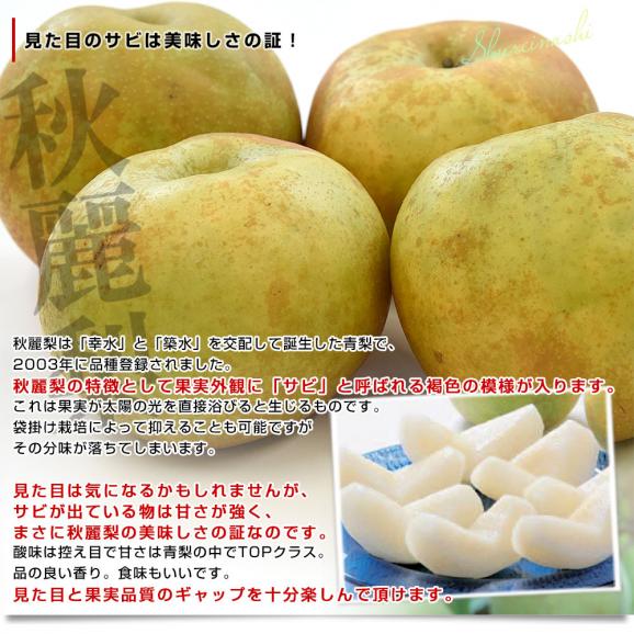 九州から産地直送 熊本県 こだわり農家の秋麗梨 (しゅうれいなし)  約5キロ (14玉から16玉) 送料無料 ナシ なし04
