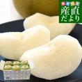 栃木県 JA全農とちぎ 梨（豊水またはあきづき）秀品 約2キロ (5玉から6玉) 送料無料 なし ナシ ほうすい あきづき