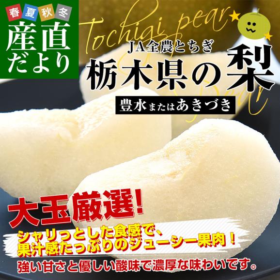栃木県 JA全農とちぎ 梨（豊水またはあきづき）秀品 約2キロ (5玉から6玉) 送料無料 なし ナシ ほうすい あきづき02