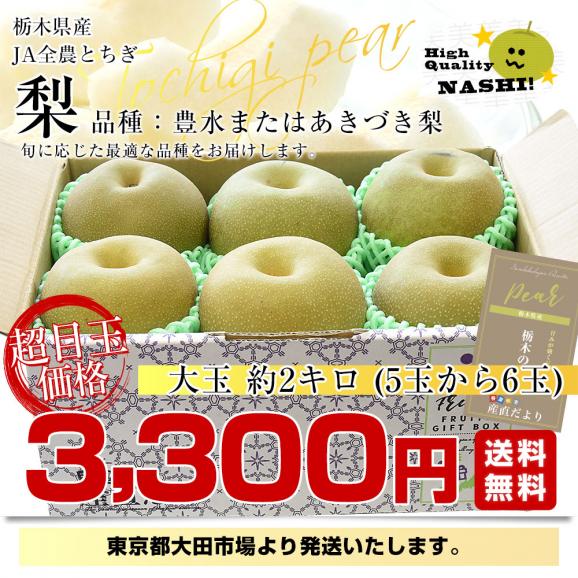 栃木県 JA全農とちぎ 梨（豊水またはあきづき）秀品 約2キロ (5玉から6玉) 送料無料 なし ナシ ほうすい あきづき03