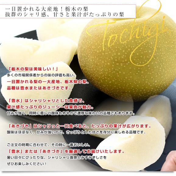 栃木県 JA全農とちぎ 梨（豊水またはあきづき）秀品 約2キロ (5玉から6玉) 送料無料 なし ナシ ほうすい あきづき04