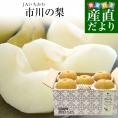 千葉県産 JAいちかわ 市川の梨 (曽谷・下貝塚支部他) 優品以上 大玉 約2キロ(4玉から6玉) 送料無料 梨 なし ナシ 豊水 ほうすい あきづき