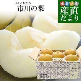 一目置かれるこの美味しさ！高糖度大人気ブランド梨「市川の梨」