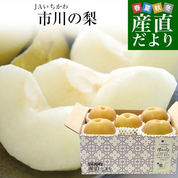 千葉県産 JAいちかわ 市川の梨 (曽谷・下貝塚支部他) 優品以上 大玉 約2キロ(4玉から6玉) 送料無料 梨 なし ナシ 豊水 ほうすい あきづき01