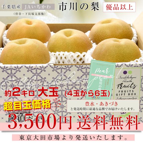 千葉県産 JAいちかわ 市川の梨 (曽谷・下貝塚支部他) 優品以上 大玉 約2キロ(4玉から6玉) 送料無料 梨 なし ナシ 豊水 ほうすい あきづき03