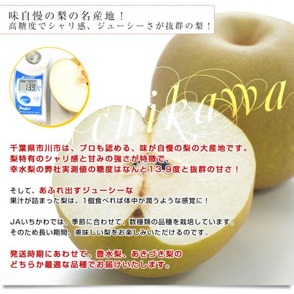 千葉県産 JAいちかわ 市川の梨 (曽谷・下貝塚支部他) 優品以上 大玉 約2キロ(4玉から6玉) 送料無料 梨 なし ナシ 豊水 ほうすい あきづき04