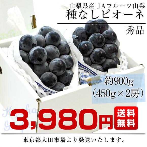 山梨県産 JAフルーツ山梨 種なしピオーネ 秀品 約900g (450g×2房入り) 送料無料 葡萄 ぶどう 黒ぶどう ※クール便 03
