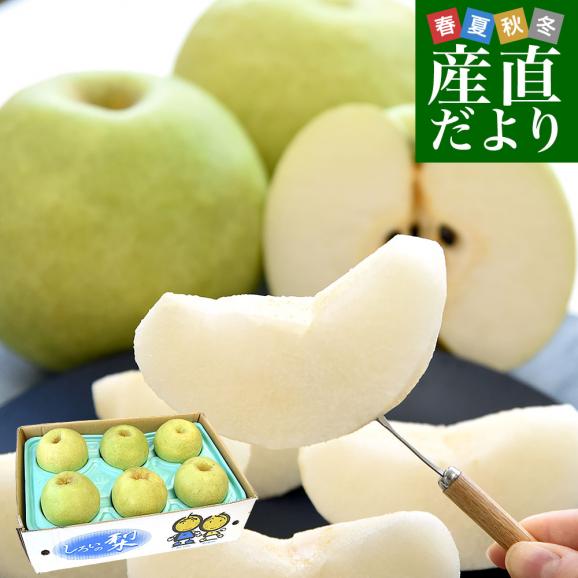 千葉県産 かおり 梨（白井・船橋・市川エリア）優品以上 大玉 約5キロ（5玉から10玉入り） 送料無料 梨 ナシ01