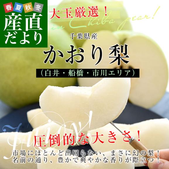 千葉県産 かおり 梨（白井・船橋・市川エリア）優品以上 大玉 約5キロ（5玉から10玉入り） 送料無料 梨 ナシ02
