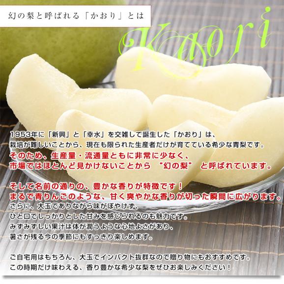 千葉県産 かおり 梨（白井・船橋・市川エリア）優品以上 大玉 約5キロ（5玉から10玉入り） 送料無料 梨 ナシ04