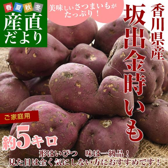 香川県産 JA香川県 ご家庭用 坂出金時いも 約5キロ（20本から30本前後） 送料無料 さかいで きんとき さつまいも サツマイモ02
