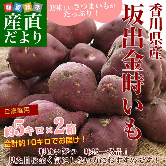 香川県産 JA香川県 ご家庭用　坂出金時いも　約5キロ&times;2箱セット（合計40本から60本前後）　送料無料　さかいで　きんとき　さつまいも　サツマイモ02