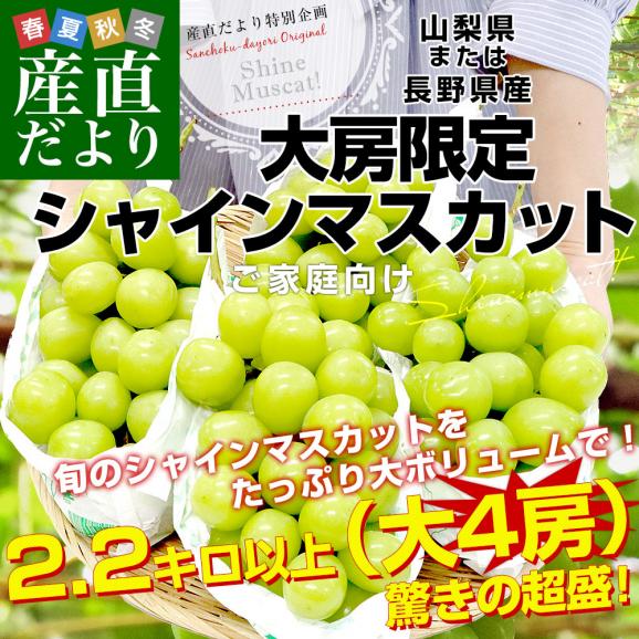 山梨県産または長野県産 大型シャインマスカット超盛2.2キロ以上（4房入）送料無料 ぶどう ブドウ 種なしぶどう  クール便発送02