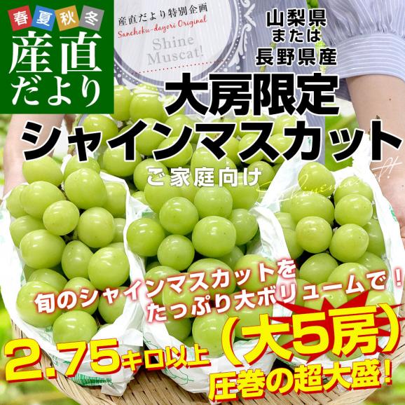 山梨県産または長野県産 大型シャインマスカット超盛2.75キロ以上（5房入）送料無料 ぶどう ブドウ 種なしぶどう  クール便発送02