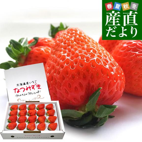 北海道より産地直送 高級いちご なつみずき 約300g(20粒から24粒)化粧箱入り イチゴ 苺 夏イチゴ01