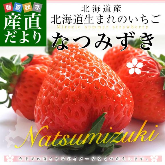 北海道より産地直送 高級いちご なつみずき 約300g(20粒から24粒)化粧箱入り イチゴ 苺 夏イチゴ02