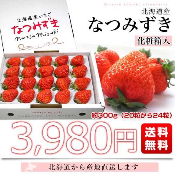 北海道より産地直送 高級いちご なつみずき 約300g(20粒から24粒)化粧箱入り イチゴ 苺 夏イチゴ03