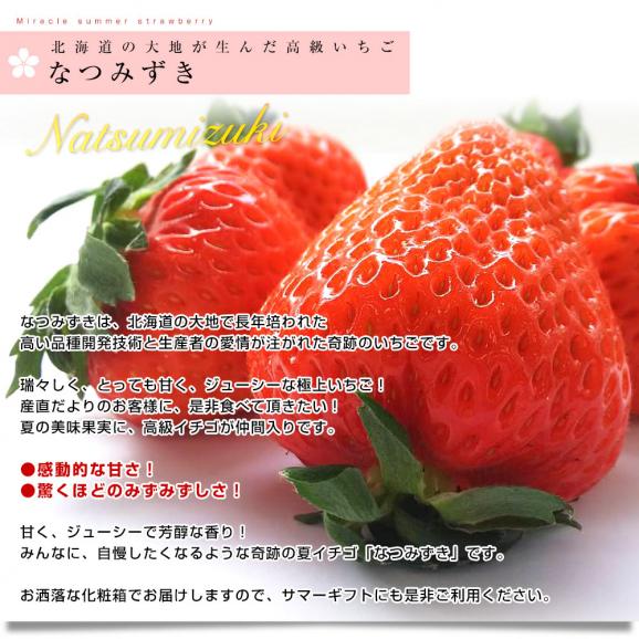 北海道より産地直送 高級いちご なつみずき 約300g(20粒から24粒)化粧箱入り イチゴ 苺 夏イチゴ04