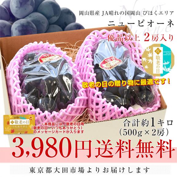 【まだ間に合う!敬老の日ギフト】岡山県産 JA晴れの国岡山 びほくエリア ニューピオーネ 優品以上 約1キロ(500g×2房) 送料無料 ブドウ 葡萄 ピオーネ ギフト 贈り物 メッセージカード付き 03
