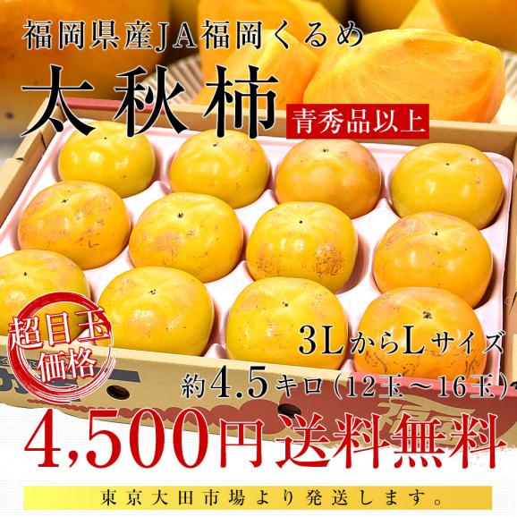 福岡県産 JA福岡くるめ 太秋柿 青秀品以上 3LからLサイズ 約4.5キロ（12玉から16玉）送料無料 柿 かき たいしゅうがき03