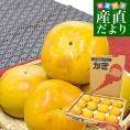福岡県産 JA福岡くるめ 太秋柿 ご家庭用 3LからLサイズ 約4.5キロ（12玉から16玉）送料無料 柿 かき たいしゅうがき