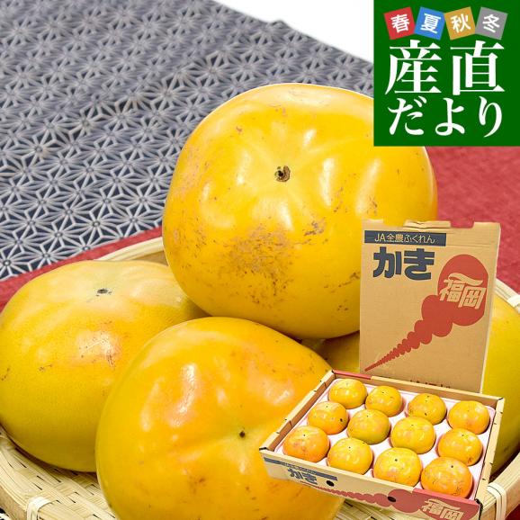 福岡県産 JA福岡くるめ 太秋柿 ご家庭用 3LからLサイズ 約4.5キロ（12玉から16玉）送料無料 柿 かき たいしゅうがき01