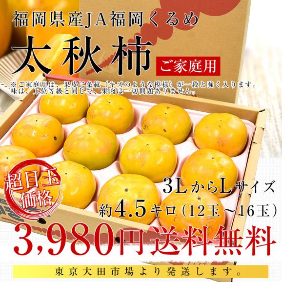 福岡県産 JA福岡くるめ 太秋柿 ご家庭用 3LからLサイズ 約4.5キロ（12玉から16玉）送料無料 柿 かき たいしゅうがき03
