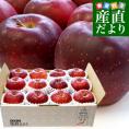 岩手県産 JA全農いわて 岩手県オリジナル品種 紅いわて 等級：特以上 約3キロ (10玉から12玉) 送料無料 林檎 りんご リンゴ
