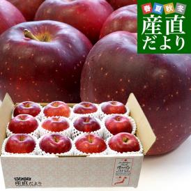 岩手県産 JA全農いわて 岩手県オリジナル品種 紅いわて 等級：特以上 約3キロ (10玉から12玉) 送料無料 林檎 りんご リンゴ