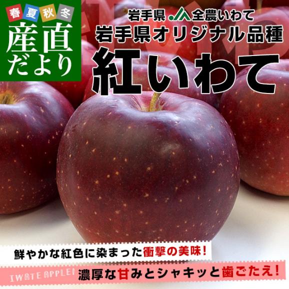 岩手県産 JA全農いわて 岩手県オリジナル品種 紅いわて 等級：特以上 約3キロ (10玉から12玉) 送料無料 林檎 りんご リンゴ02