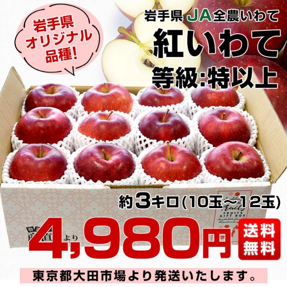 岩手県産 JA全農いわて 岩手県オリジナル品種 紅いわて 等級：特以上 約3キロ (10玉から12玉) 送料無料 林檎 りんご リンゴ03