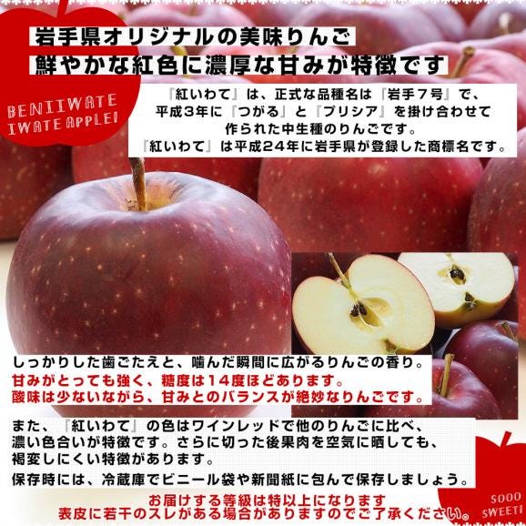 岩手県産 JA全農いわて 岩手県オリジナル品種 紅いわて 等級：特以上 約3キロ (10玉から12玉) 送料無料 林檎 りんご リンゴ04