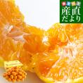 和歌山県より産地直送 JAわかやま ありだ地域本部　有田みかん「味選-MISEN-」LからSサイズ 約5キロ(40玉から60玉前後) 送料無料 蜜柑 ミカン