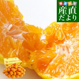 和歌山県より産地直送 JAわかやま ありだ地域本部　有田みかん「味選-MISEN-」LからSサイズ 約5キロ(40玉から60玉前後) 送料無料 蜜柑 ミカン