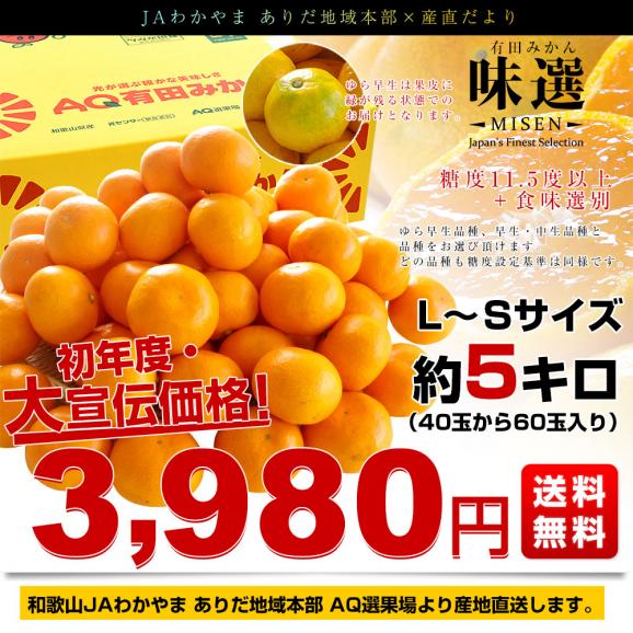 和歌山県より産地直送 JAわかやま ありだ地域本部　有田みかん「味選-MISEN-」LからSサイズ 約5キロ(40玉から60玉前後) 送料無料 蜜柑 ミカン03