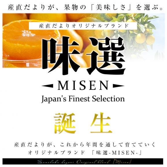 和歌山県より産地直送 JAわかやま ありだ地域本部　有田みかん「味選-MISEN-」LからSサイズ 約5キロ(40玉から60玉前後) 送料無料 蜜柑 ミカン04