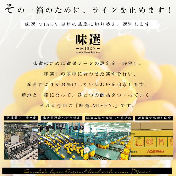 和歌山県より産地直送 JAわかやま ありだ地域本部　有田みかん「味選-MISEN-」LからSサイズ 約5キロ(40玉から60玉前後) 送料無料 蜜柑 ミカン05