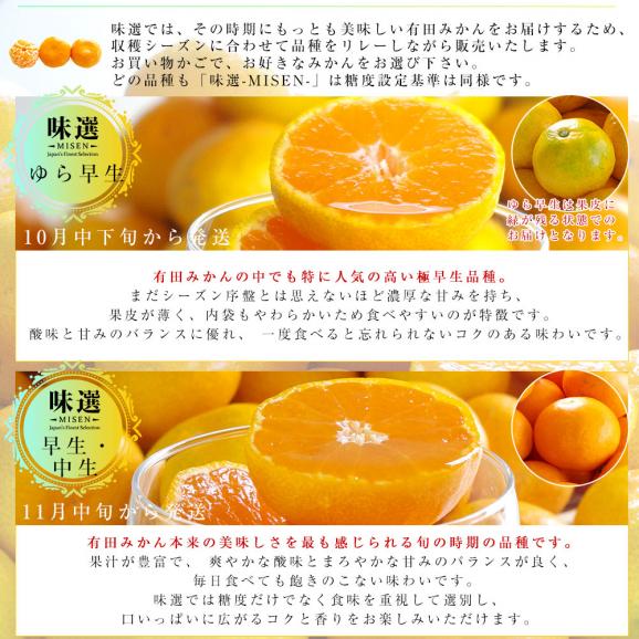 和歌山県より産地直送 JAわかやま ありだ地域本部　有田みかん「味選-MISEN-」LからSサイズ 約5キロ(40玉から60玉前後) 送料無料 蜜柑 ミカン06