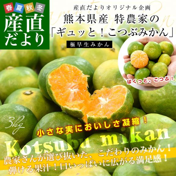 九州から産地直送 熊本県 特農家のギュッと！こつぶみかん　極早生みかん 約3キロ(合計70玉前後) 小粒3Sサイズ　送料無料  蜜柑 みかん ミカン02