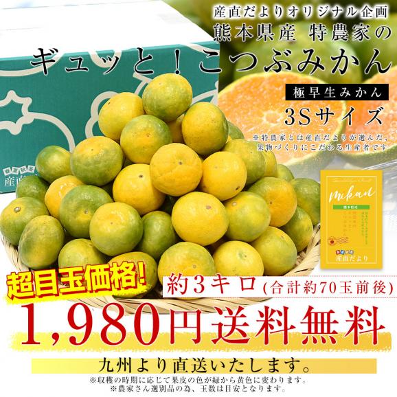 九州から産地直送 熊本県 特農家のギュッと！こつぶみかん　極早生みかん 約3キロ(合計70玉前後) 小粒3Sサイズ　送料無料  蜜柑 みかん ミカン03