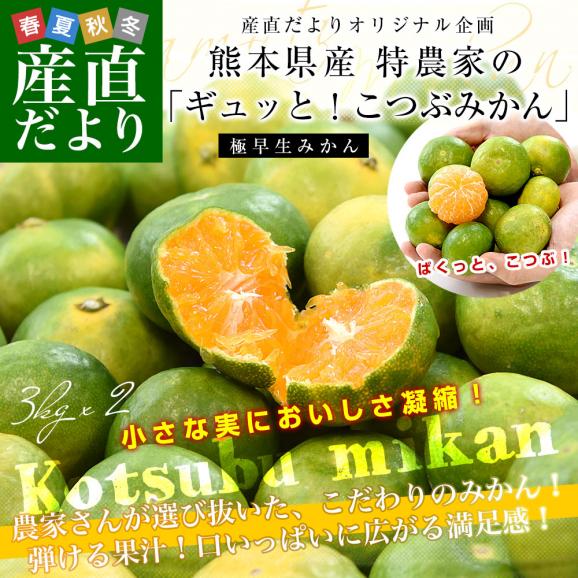 九州から産地直送 熊本県 特農家のギュッと！こつぶみかん 極早生みかん 3キロ&times;2箱(合計140玉前後) 小粒3Sサイズ　送料無料  蜜柑 みかん ミカン02