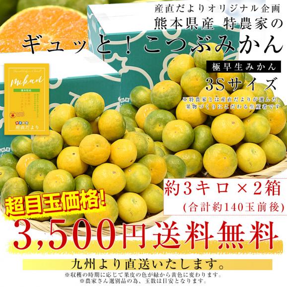 九州から産地直送 熊本県 特農家のギュッと！こつぶみかん 極早生みかん 3キロ&times;2箱(合計140玉前後) 小粒3Sサイズ　送料無料  蜜柑 みかん ミカン03