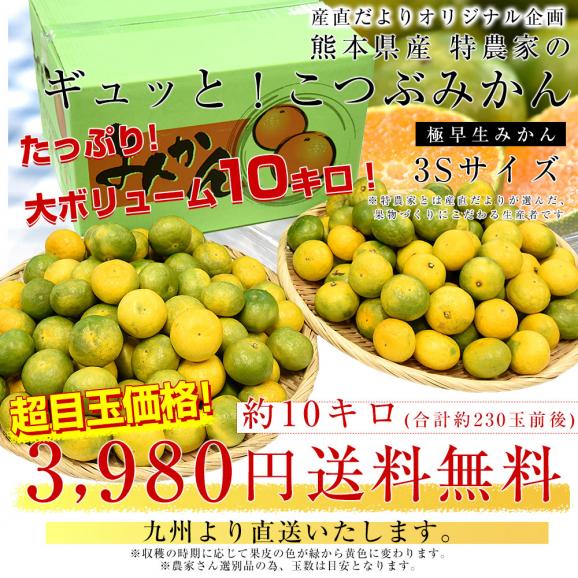 九州から産地直送 熊本県 特農家のギュッと！こつぶみかん 極早生みかん 10キロ(合計230玉前後) 小粒3Sサイズ　送料無料  蜜柑 みかん ミカン03