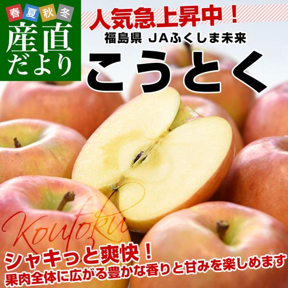 福島県より産地直送 JAふくしま未来 こうとく 秀品 約2.8キロ(10玉から12玉) 送料無料 林檎 リンゴ02