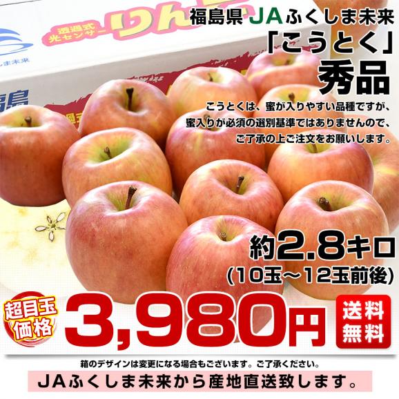 福島県より産地直送 JAふくしま未来 こうとく 秀品 約2.8キロ(10玉から12玉) 送料無料 林檎 リンゴ03