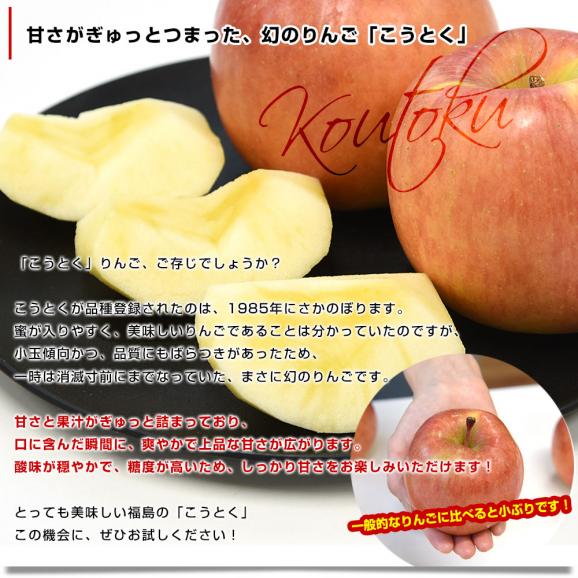 福島県より産地直送 JAふくしま未来 こうとく 秀品 約2.8キロ(10玉から12玉) 送料無料 林檎 リンゴ04